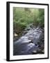 Tennessee, Great Smoky Mountains National Park, a Mountain Stream-Christopher Talbot Frank-Framed Photographic Print