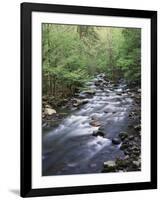 Tennessee, Great Smoky Mountains National Park, a Mountain Stream-Christopher Talbot Frank-Framed Photographic Print