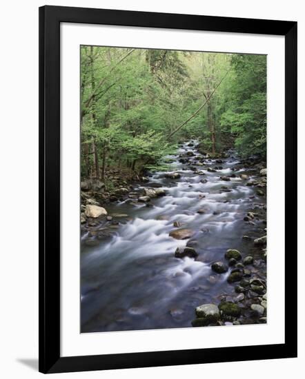 Tennessee, Great Smoky Mountains National Park, a Mountain Stream-Christopher Talbot Frank-Framed Photographic Print