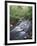 Tennessee, Great Smoky Mountains National Park, a Mountain Stream-Christopher Talbot Frank-Framed Photographic Print