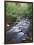 Tennessee, Great Smoky Mountains National Park, a Mountain Stream-Christopher Talbot Frank-Framed Photographic Print