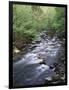 Tennessee, Great Smoky Mountains National Park, a Mountain Stream-Christopher Talbot Frank-Framed Photographic Print