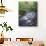 Tennessee, Great Smoky Mountains National Park, a Mountain Stream-Christopher Talbot Frank-Photographic Print displayed on a wall