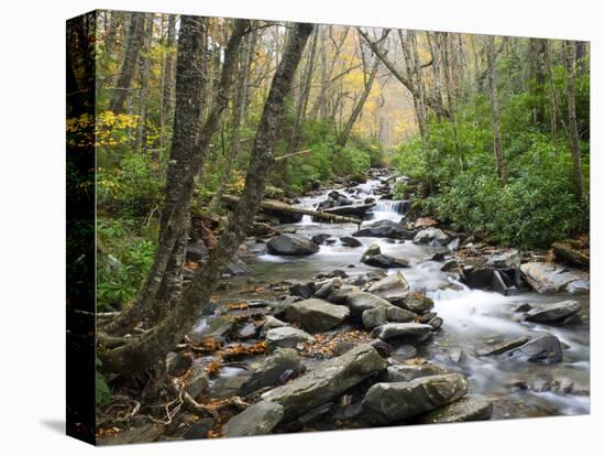 Tennessee, Great Smoky Mountains National Park, Alum Cave Creek-Jamie & Judy Wild-Stretched Canvas