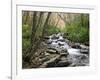 Tennessee, Great Smoky Mountains National Park, Alum Cave Creek-Jamie & Judy Wild-Framed Photographic Print