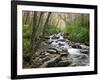 Tennessee, Great Smoky Mountains National Park, Alum Cave Creek-Jamie & Judy Wild-Framed Photographic Print