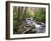 Tennessee, Great Smoky Mountains National Park, Alum Cave Creek-Jamie & Judy Wild-Framed Photographic Print