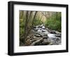 Tennessee, Great Smoky Mountains National Park, Alum Cave Creek-Jamie & Judy Wild-Framed Photographic Print