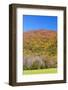 Tennessee, Great Smoky Mountains National Park, Cades Cove-Jamie & Judy Wild-Framed Photographic Print