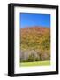 Tennessee, Great Smoky Mountains National Park, Cades Cove-Jamie & Judy Wild-Framed Photographic Print