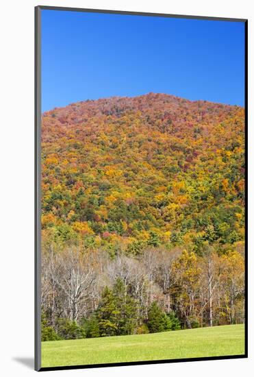 Tennessee, Great Smoky Mountains National Park, Cades Cove-Jamie & Judy Wild-Mounted Photographic Print