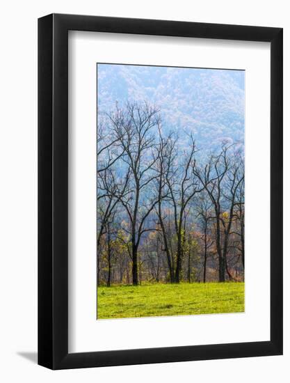 Tennessee, Great Smoky Mountains National Park, Cades Cove-Jamie & Judy Wild-Framed Photographic Print