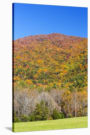 Tennessee, Great Smoky Mountains National Park, Cades Cove-Jamie & Judy Wild-Stretched Canvas