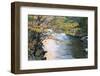 Tennessee, Great Smoky Mountains National Park, Little River-Jamie & Judy Wild-Framed Photographic Print