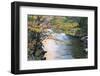 Tennessee, Great Smoky Mountains National Park, Little River-Jamie & Judy Wild-Framed Photographic Print