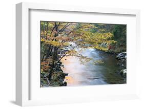 Tennessee, Great Smoky Mountains National Park, Little River-Jamie & Judy Wild-Framed Photographic Print