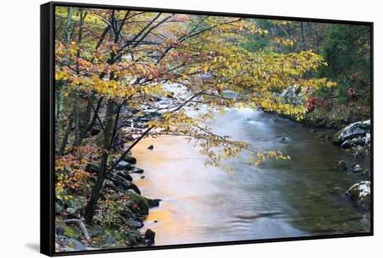 Tennessee, Great Smoky Mountains National Park, Little River-Jamie & Judy Wild-Framed Stretched Canvas