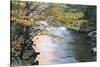 Tennessee, Great Smoky Mountains National Park, Little River-Jamie & Judy Wild-Stretched Canvas