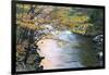 Tennessee, Great Smoky Mountains National Park, Little River-Jamie & Judy Wild-Framed Photographic Print