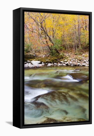 Tennessee, Great Smoky Mountains National Park, Little River-Jamie & Judy Wild-Framed Stretched Canvas