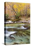 Tennessee, Great Smoky Mountains National Park, Little River-Jamie & Judy Wild-Stretched Canvas