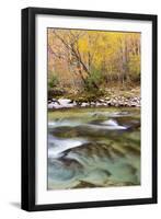 Tennessee, Great Smoky Mountains National Park, Little River-Jamie & Judy Wild-Framed Premium Photographic Print