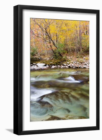 Tennessee, Great Smoky Mountains National Park, Little River-Jamie & Judy Wild-Framed Premium Photographic Print