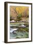 Tennessee, Great Smoky Mountains National Park, Little River-Jamie & Judy Wild-Framed Photographic Print