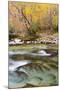 Tennessee, Great Smoky Mountains National Park, Little River-Jamie & Judy Wild-Mounted Premium Photographic Print