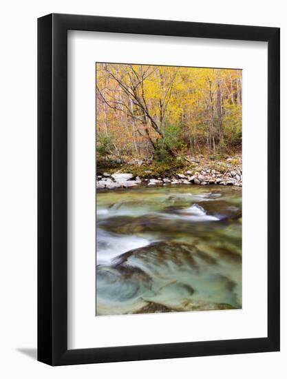 Tennessee, Great Smoky Mountains National Park, Little River-Jamie & Judy Wild-Framed Photographic Print