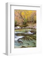 Tennessee, Great Smoky Mountains National Park, Little River-Jamie & Judy Wild-Framed Photographic Print