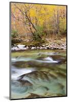 Tennessee, Great Smoky Mountains National Park, Little River-Jamie & Judy Wild-Mounted Photographic Print