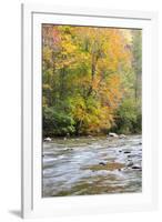 Tennessee, Great Smoky Mountains National Park, Little River-Jamie & Judy Wild-Framed Photographic Print