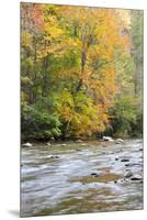 Tennessee, Great Smoky Mountains National Park, Little River-Jamie & Judy Wild-Mounted Premium Photographic Print