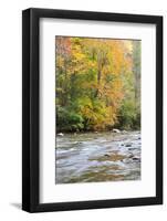 Tennessee, Great Smoky Mountains National Park, Little River-Jamie & Judy Wild-Framed Photographic Print