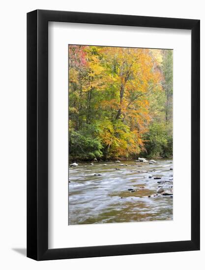 Tennessee, Great Smoky Mountains National Park, Little River-Jamie & Judy Wild-Framed Photographic Print