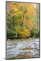 Tennessee, Great Smoky Mountains National Park, Little River-Jamie & Judy Wild-Mounted Photographic Print