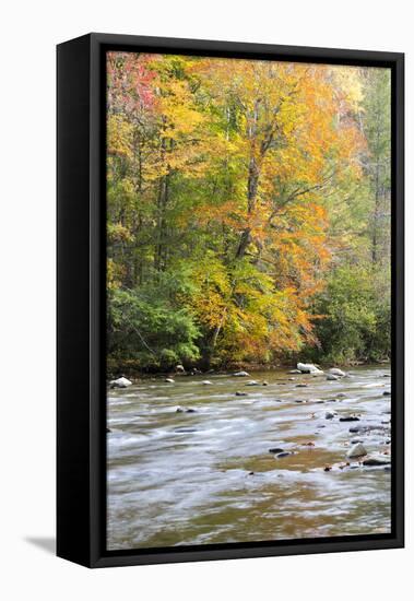 Tennessee, Great Smoky Mountains National Park, Little River-Jamie & Judy Wild-Framed Stretched Canvas