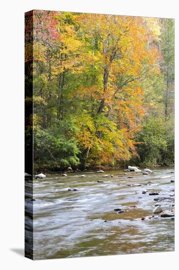Tennessee, Great Smoky Mountains National Park, Little River-Jamie & Judy Wild-Stretched Canvas