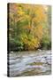 Tennessee, Great Smoky Mountains National Park, Little River-Jamie & Judy Wild-Stretched Canvas