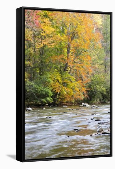 Tennessee, Great Smoky Mountains National Park, Little River-Jamie & Judy Wild-Framed Stretched Canvas