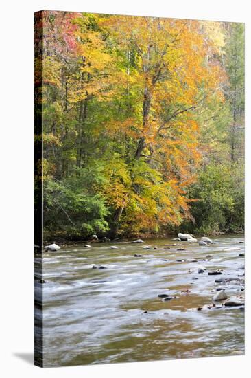 Tennessee, Great Smoky Mountains National Park, Little River-Jamie & Judy Wild-Stretched Canvas