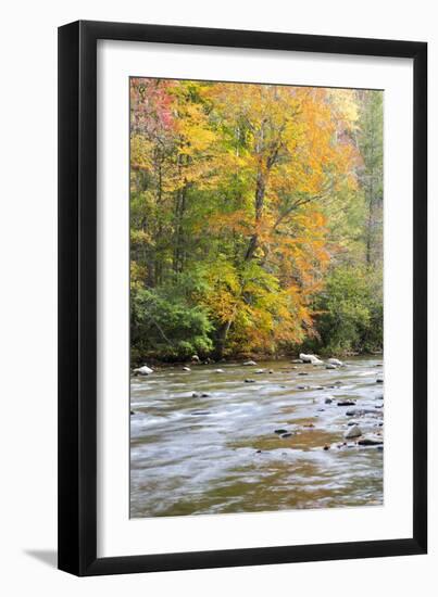 Tennessee, Great Smoky Mountains National Park, Little River-Jamie & Judy Wild-Framed Photographic Print