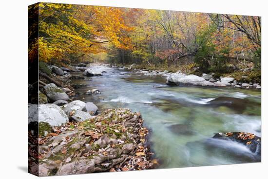 Tennessee, Great Smoky Mountains National Park, Little River-Jamie & Judy Wild-Stretched Canvas