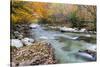 Tennessee, Great Smoky Mountains National Park, Little River-Jamie & Judy Wild-Stretched Canvas