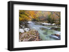 Tennessee, Great Smoky Mountains National Park, Little River-Jamie & Judy Wild-Framed Premium Photographic Print