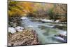 Tennessee, Great Smoky Mountains National Park, Little River-Jamie & Judy Wild-Mounted Premium Photographic Print