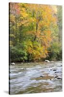 Tennessee, Great Smoky Mountains National Park, Little River-Jamie & Judy Wild-Stretched Canvas