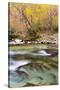 Tennessee, Great Smoky Mountains National Park, Little River-Jamie & Judy Wild-Stretched Canvas