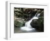 Tennessee, Great Smoky Mountains National Park, Stream with Small Waterfalls-Christopher Talbot Frank-Framed Photographic Print